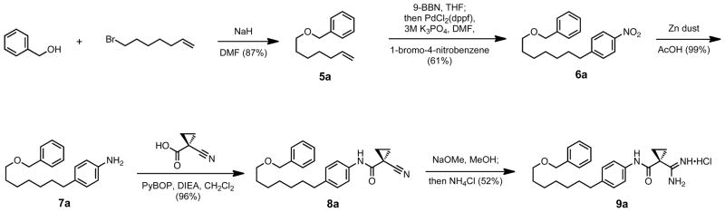 Scheme 4