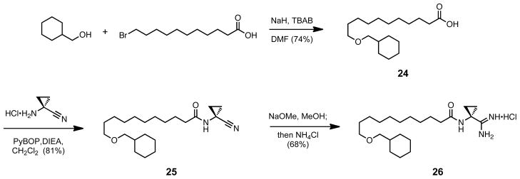 Scheme 8