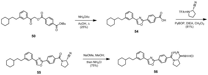 Scheme 13