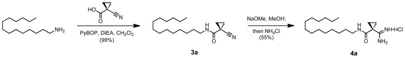 Scheme 3