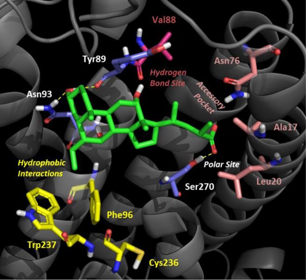 Figure 4