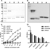 FIG 3
