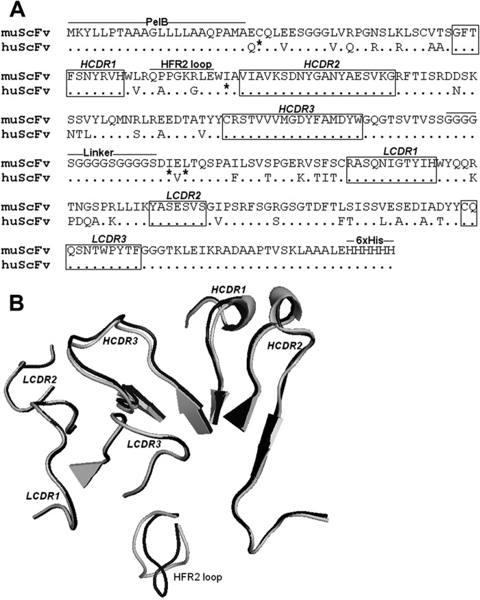 FIG 2