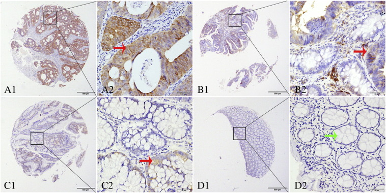 Figure 2