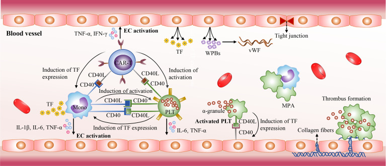 Figure 4