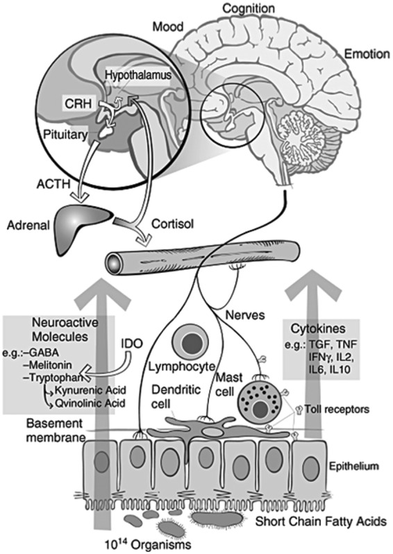 Figure 5.