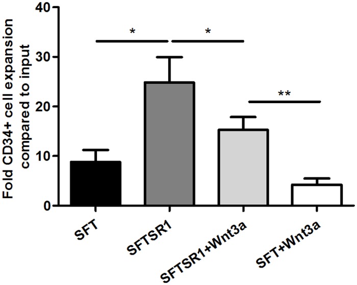 Fig 5