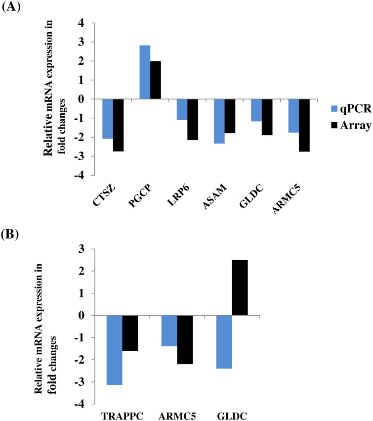 Fig 13