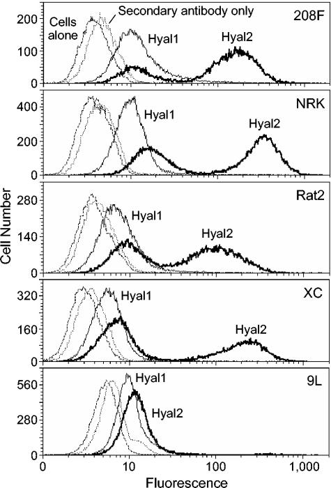 FIG. 5.