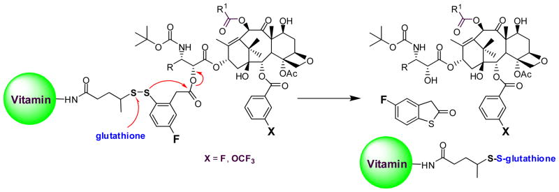 Fig. 8