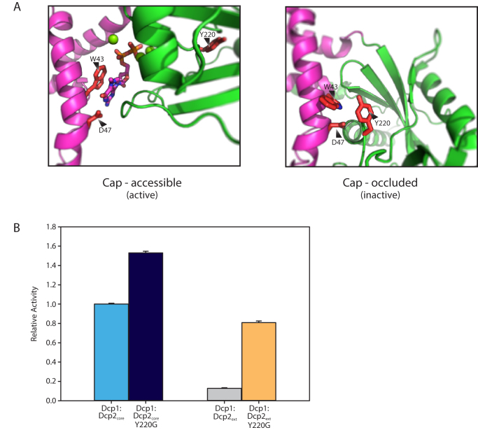 Figure 3.