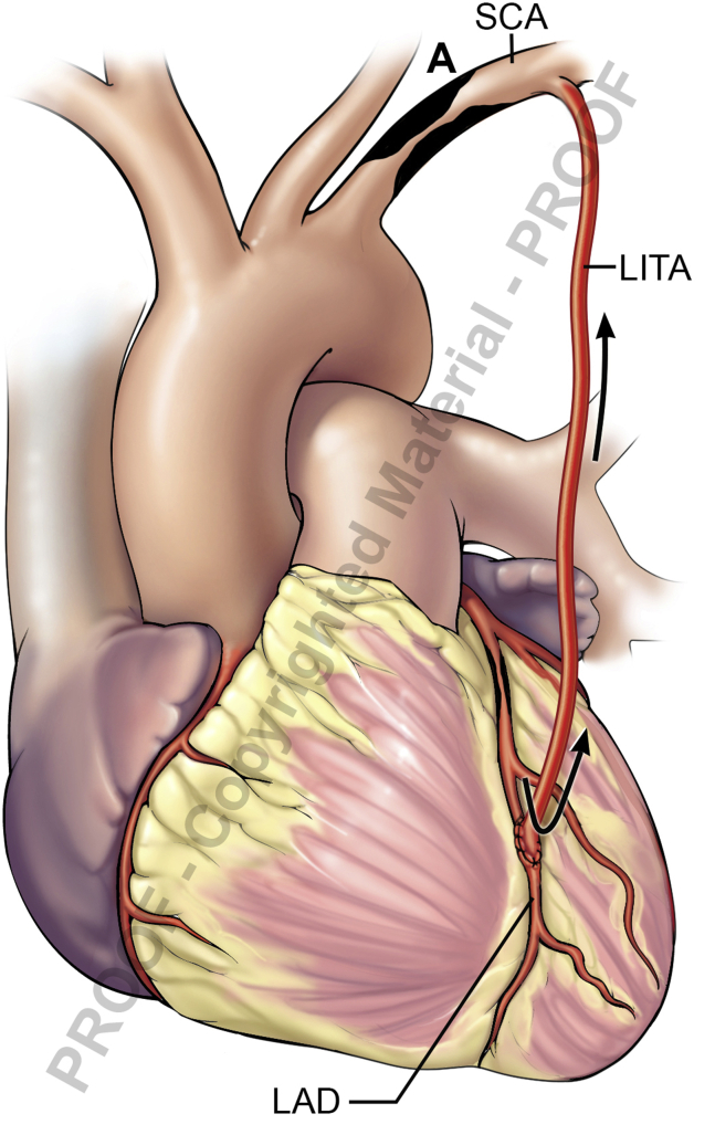 Figure 5