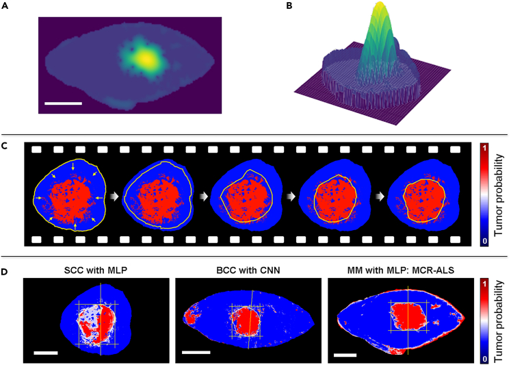 Figure 4