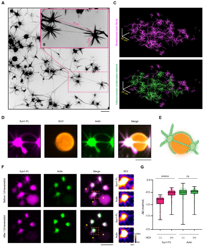 Figure 4: