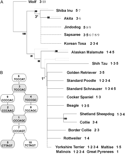 Figure 2.—