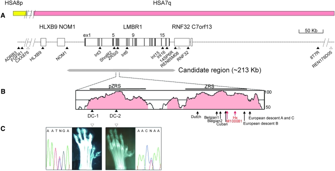 Figure 1.—