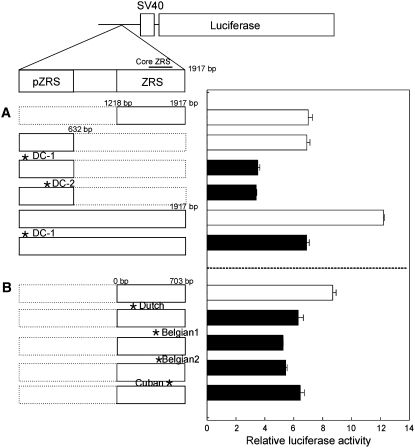 Figure 3.—