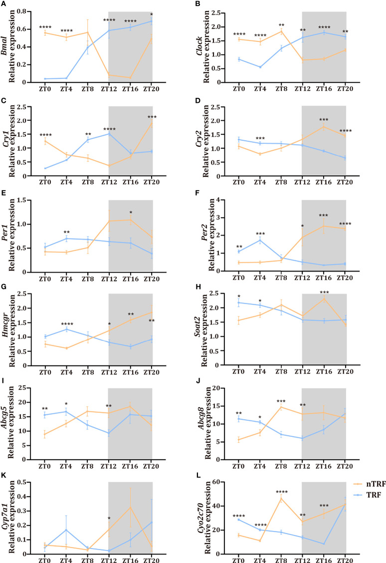 Figure 3