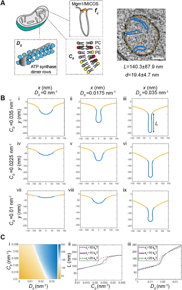 Figure 5: