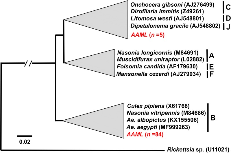 Fig. 3