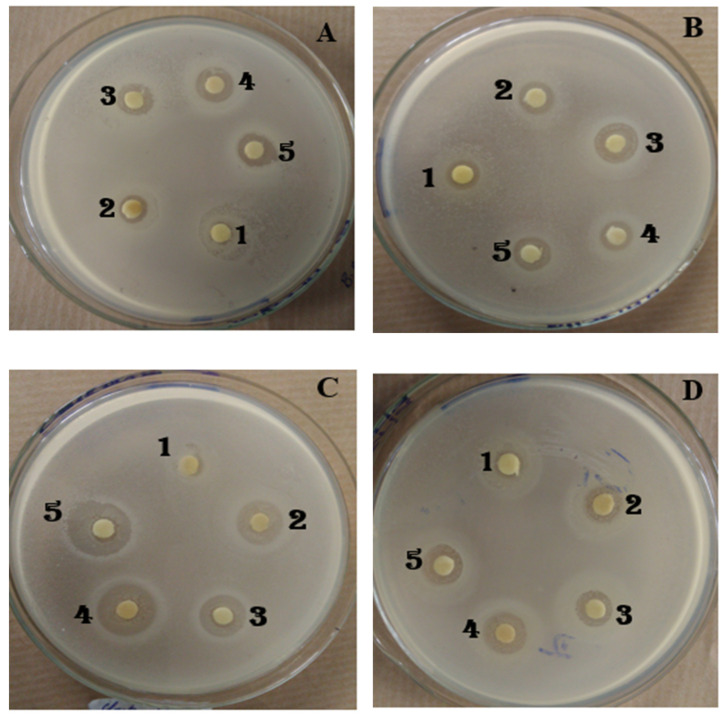 Figure 4