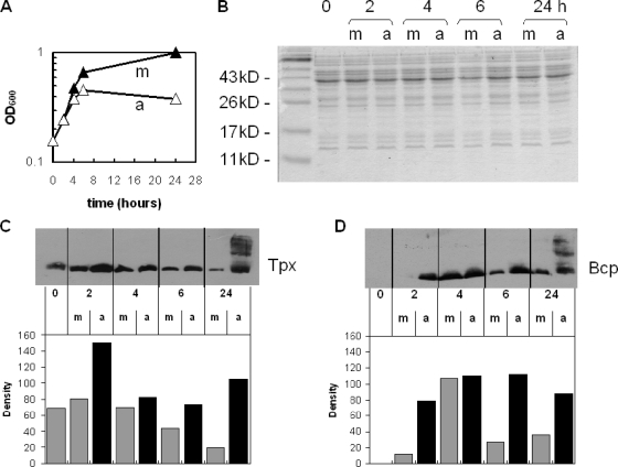 FIG. 7.