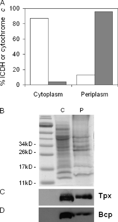 FIG. 8.