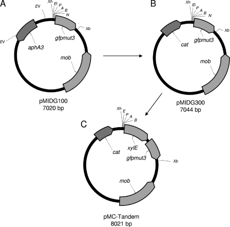 FIG. 1.