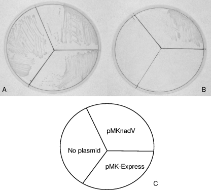 FIG. 8.