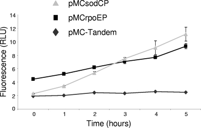 FIG. 7.