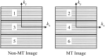 <sc>fig</sc> 1.