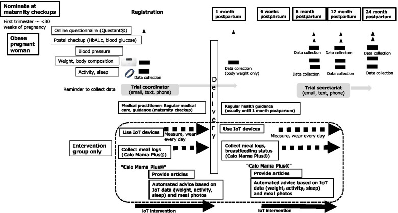 Fig. 2