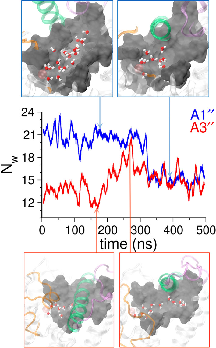 FIGURE 6