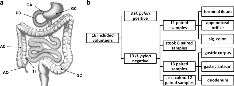 Fig. 1