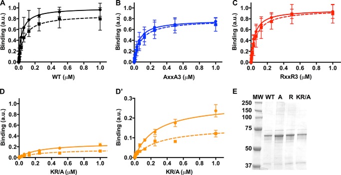 FIGURE 2.