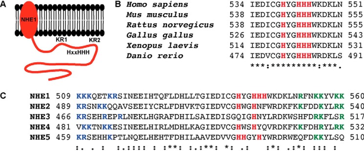 FIGURE 1.