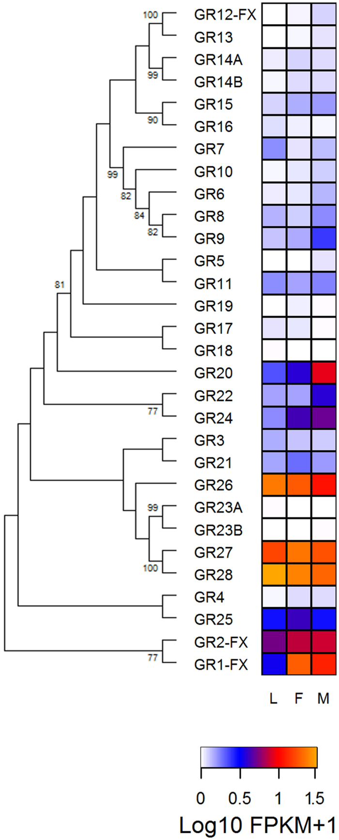 Figure 4