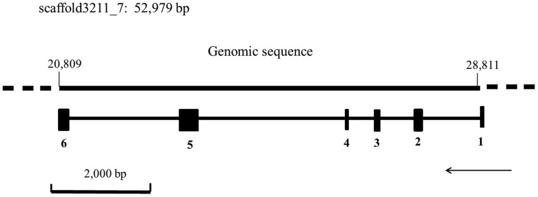 Fig. 1.