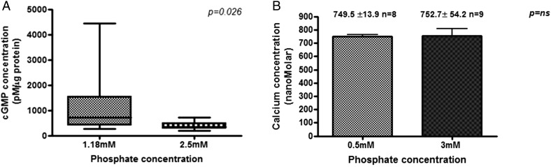 FIGURE 4