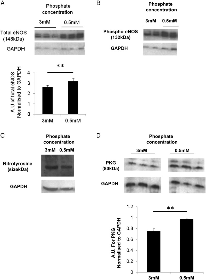 FIGURE 3