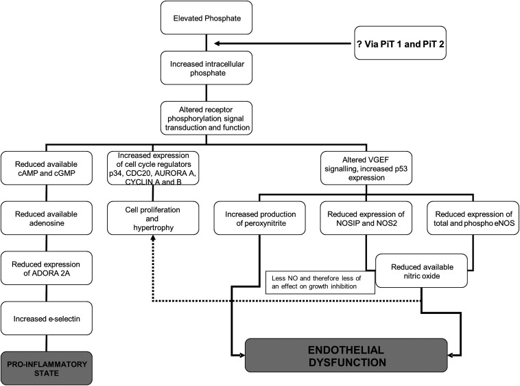 FIGURE 6