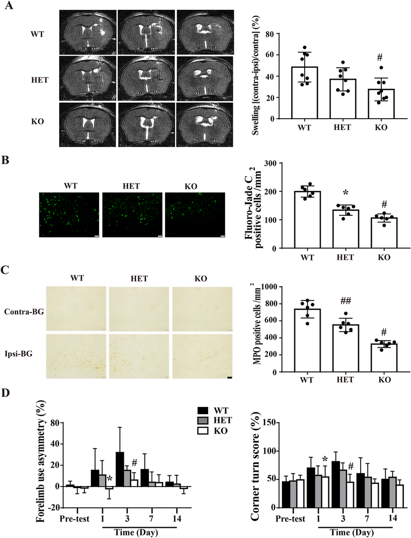 Figure 6: