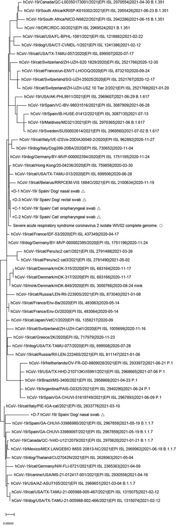 FIGURE 2