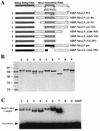 FIG. 5