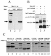 FIG. 7