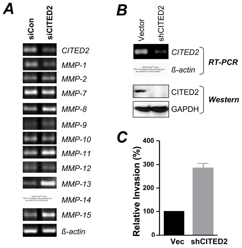 Fig 5