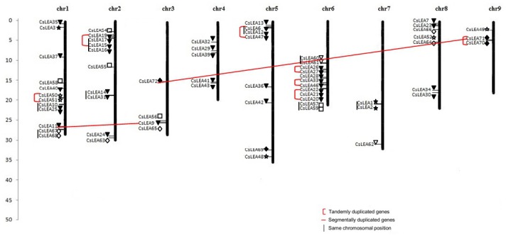 Fig 5