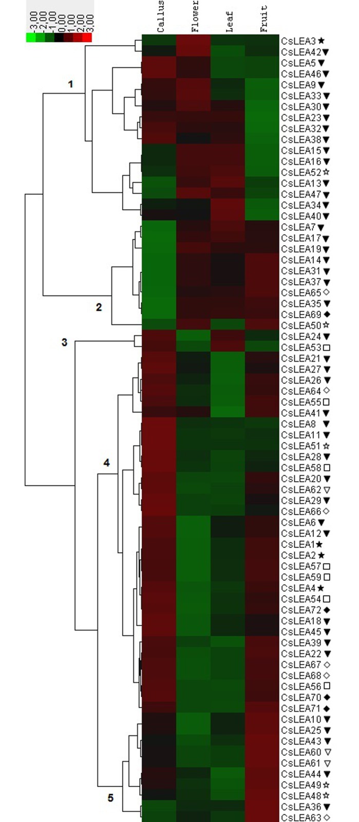 Fig 7