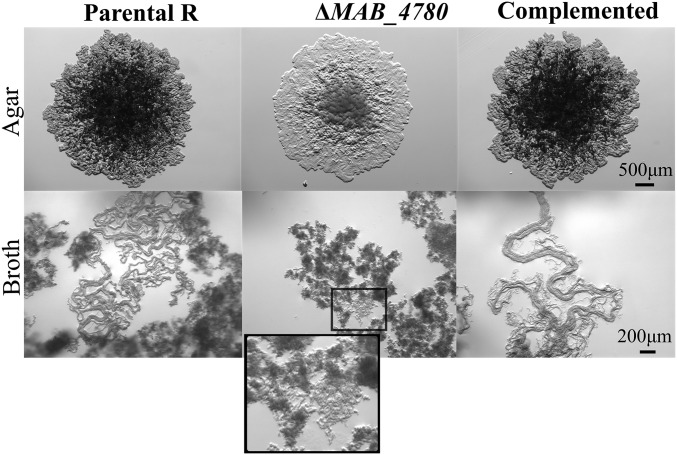 Fig. 3.