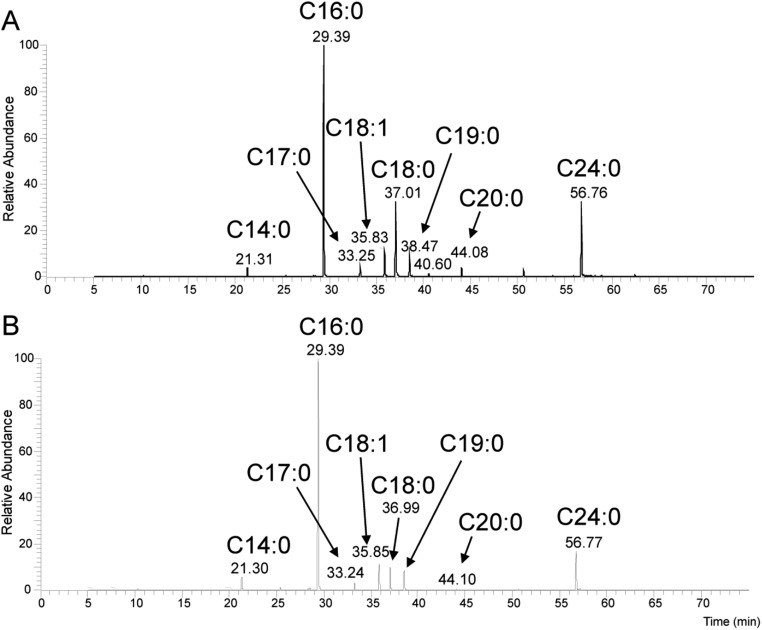 Fig. S3.